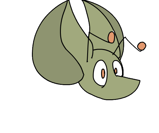 zorko